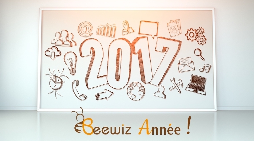 beewiz-annee-2017